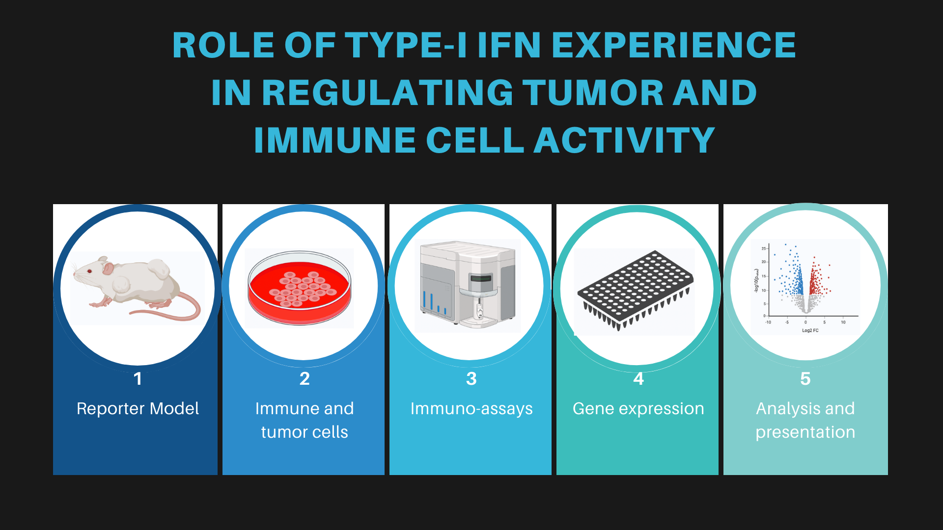 Type I IFN research visual
